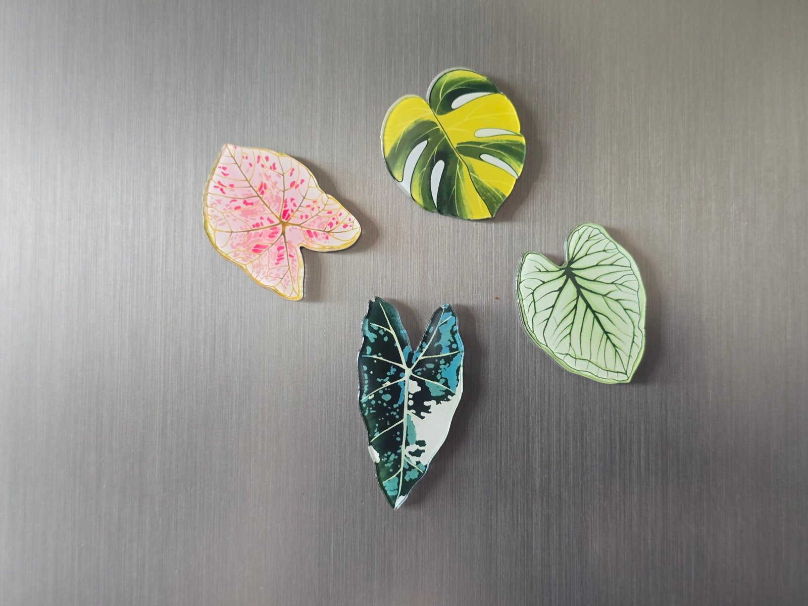 Lot de 4 magnets Natura – Image 2