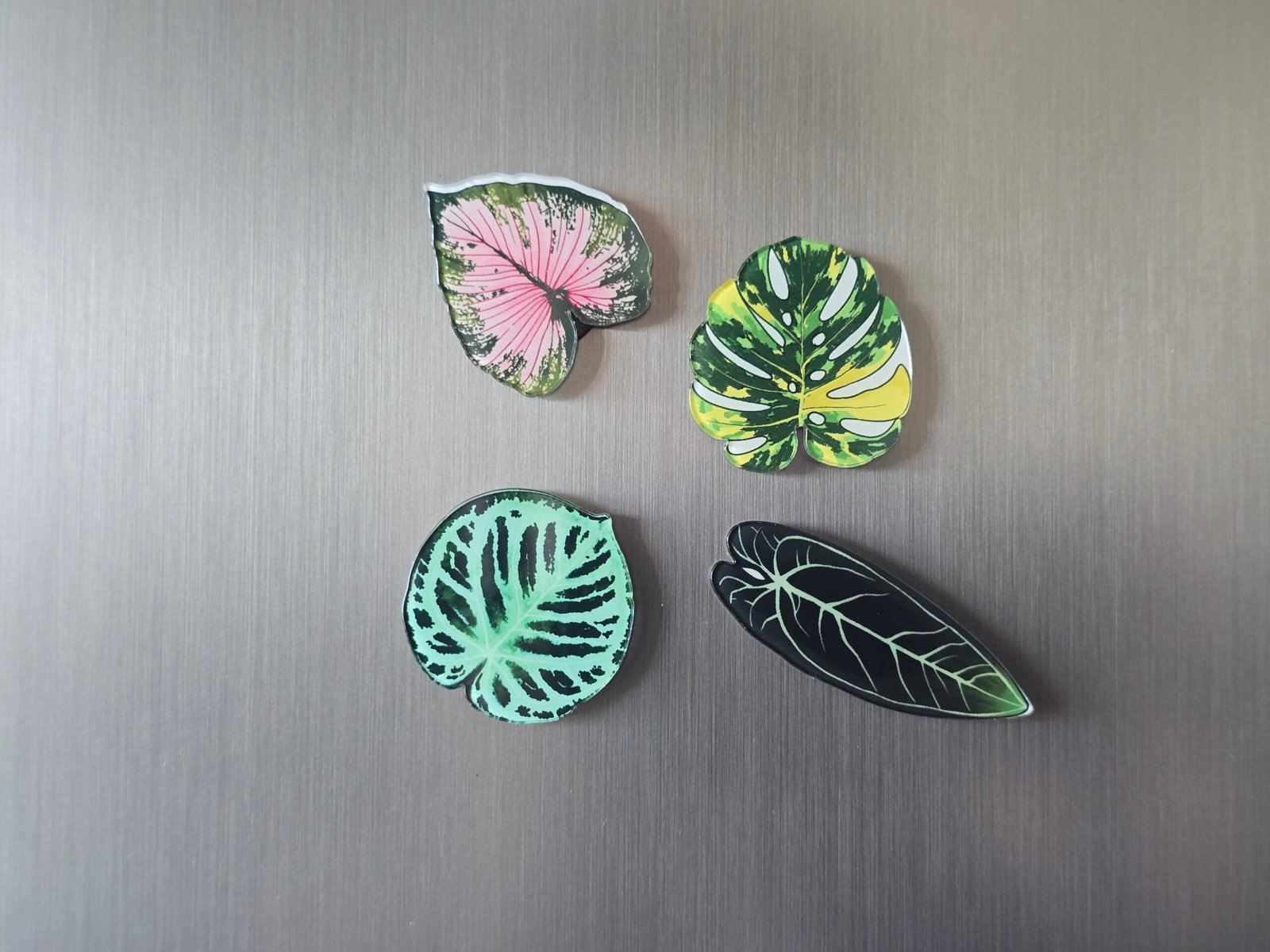 Lot de 4 magnets Natura – Image 3