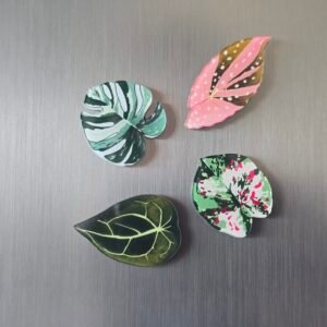 Lot de 4 magnets Natura