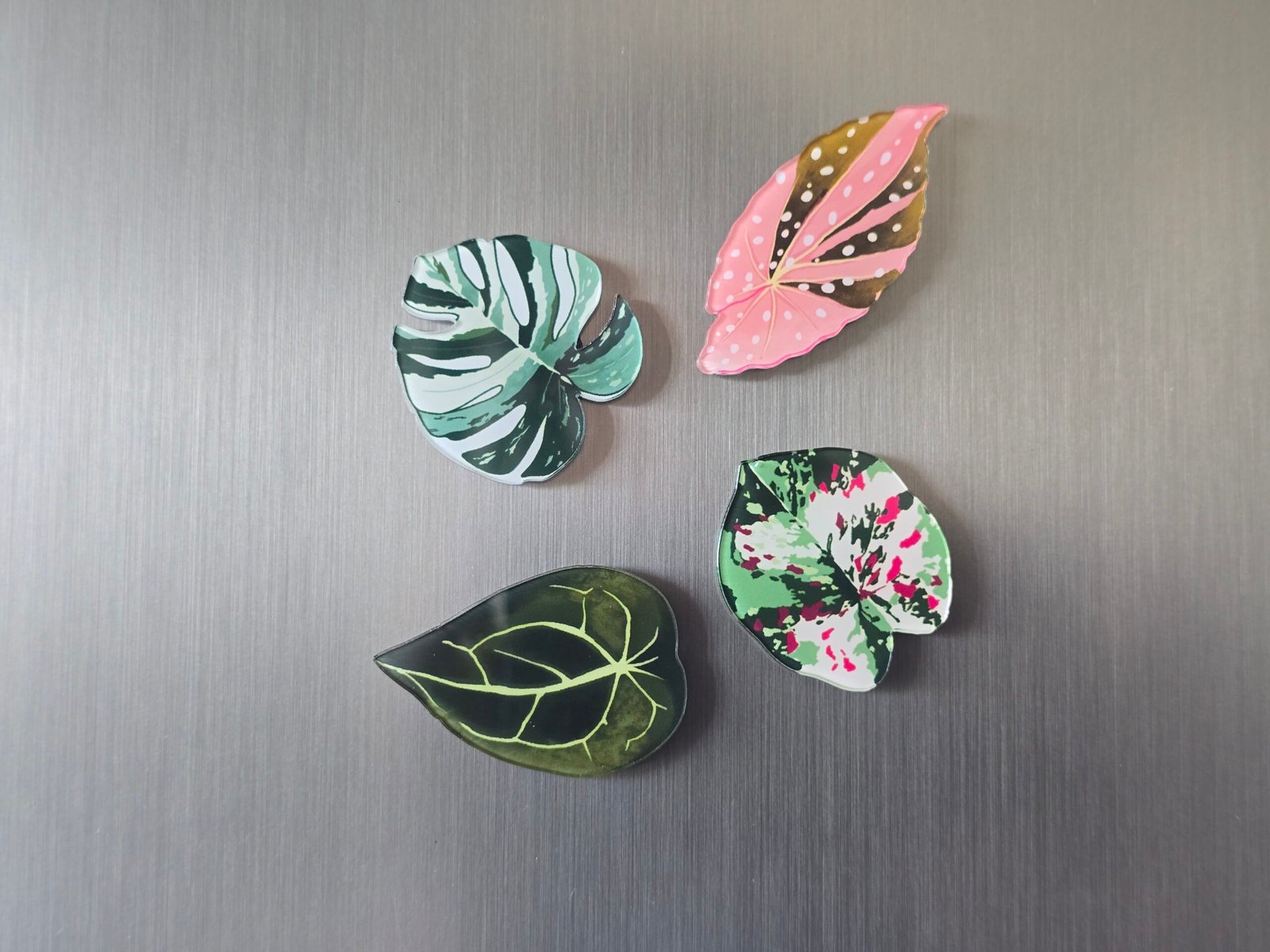 Lot de 4 magnets Natura